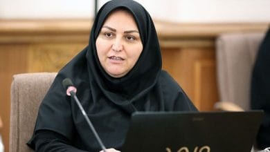 پروانه اصلانی مدیرکل دفتر اقتصاد مسکن وزارت راه و شهرسازی