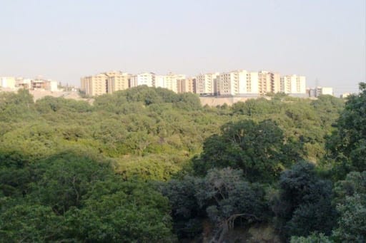 باغات کن