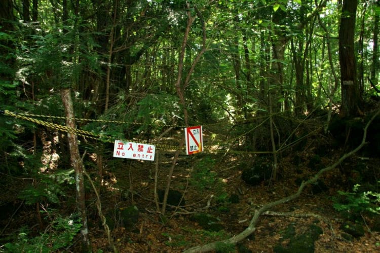 جنگل خودکشی