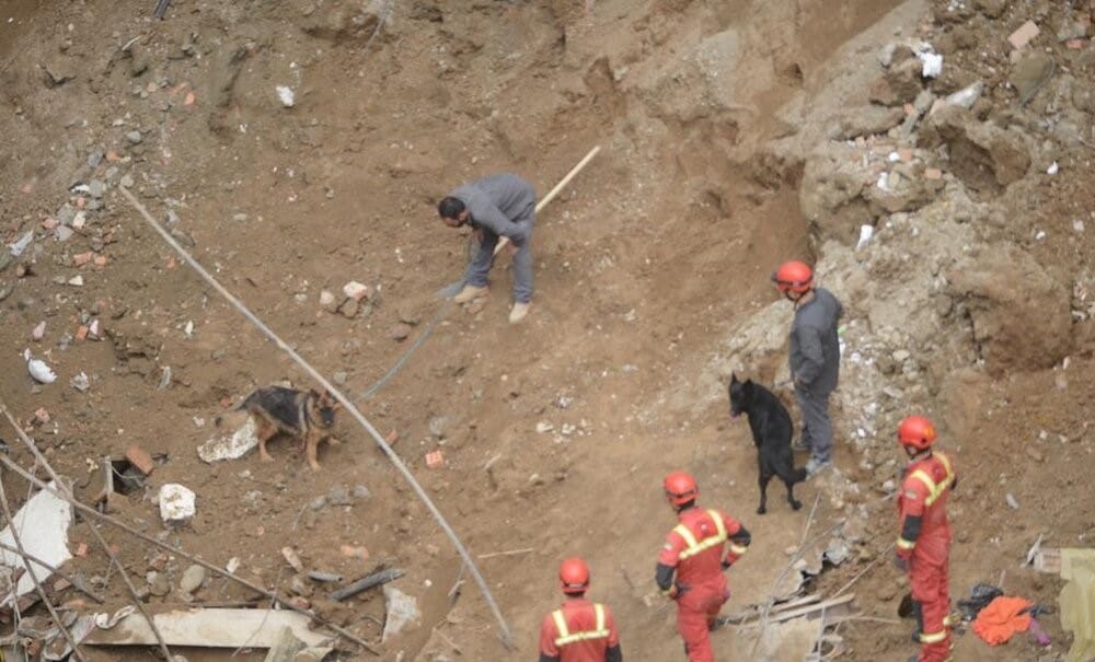 گودبرداری