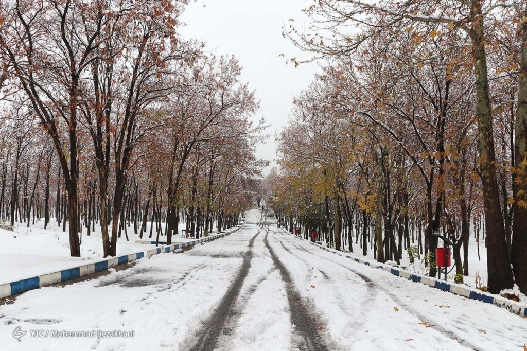 زمستانی
