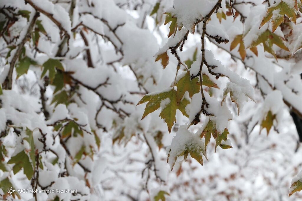 زمستانی