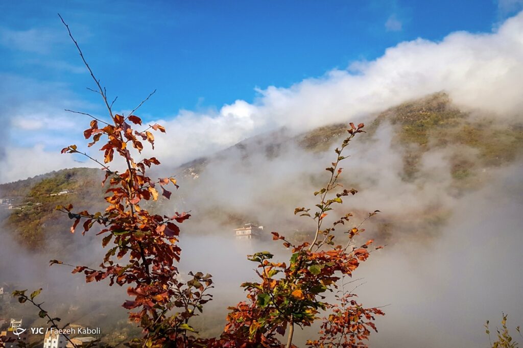 پاییز جنگل هیرکانی - گلستان