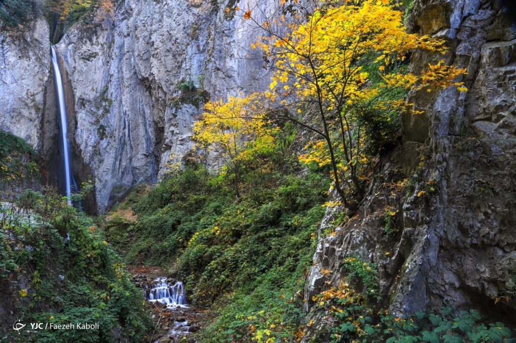 پاییز جنگل هیرکانی - گلستان