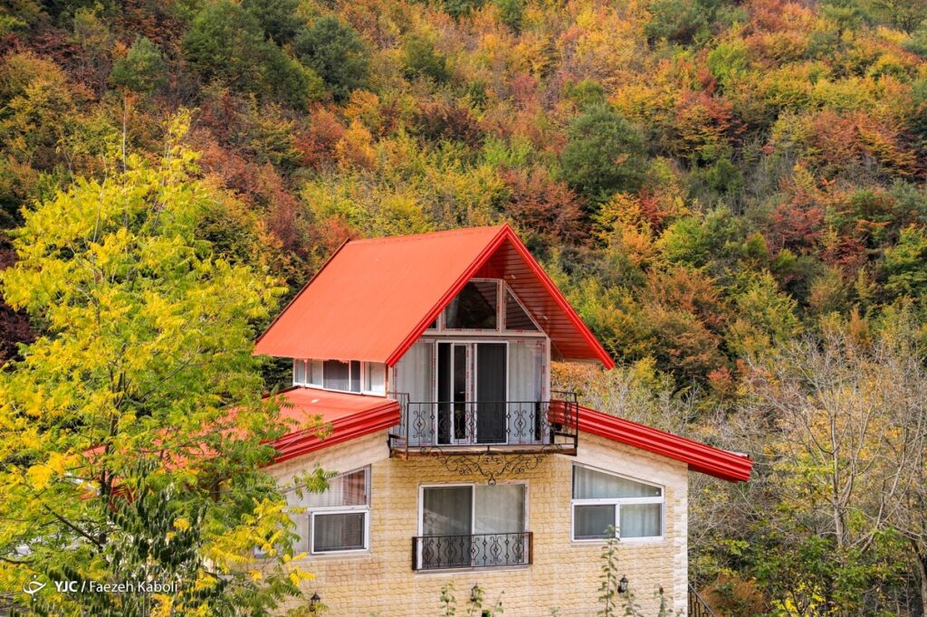 پاییز جنگل هیرکانی - گلستان