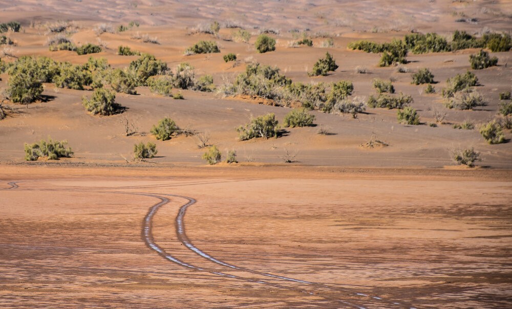 کویر ریگ جن