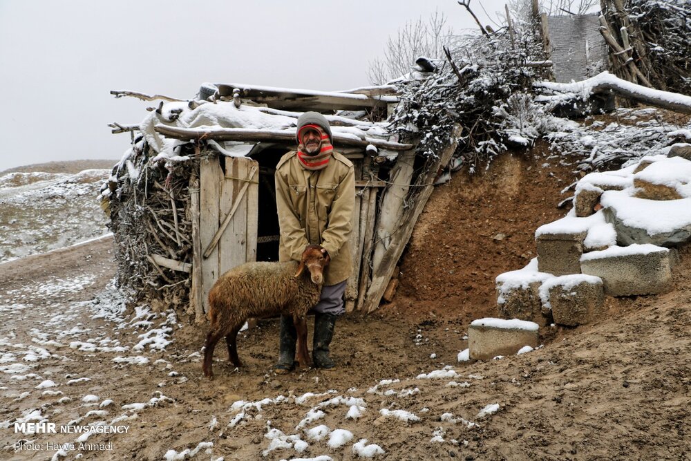 روستای ورسک