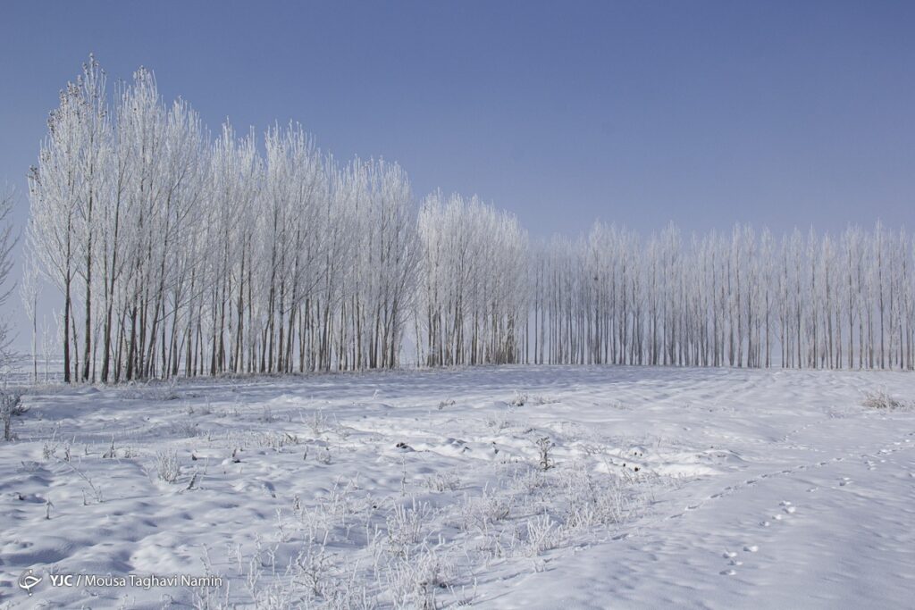 سرما