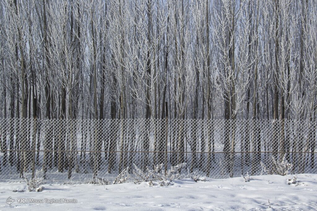 سرما