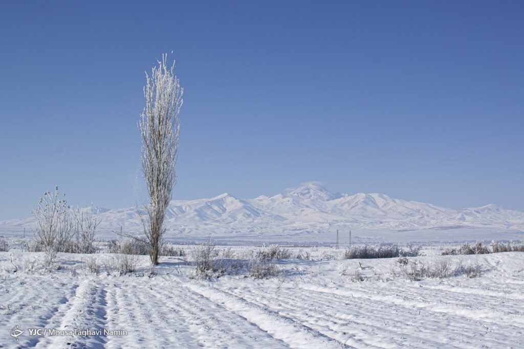 سرما