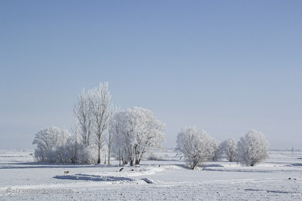 سرما