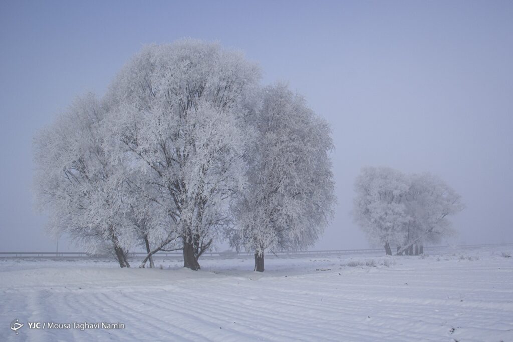 سرما
