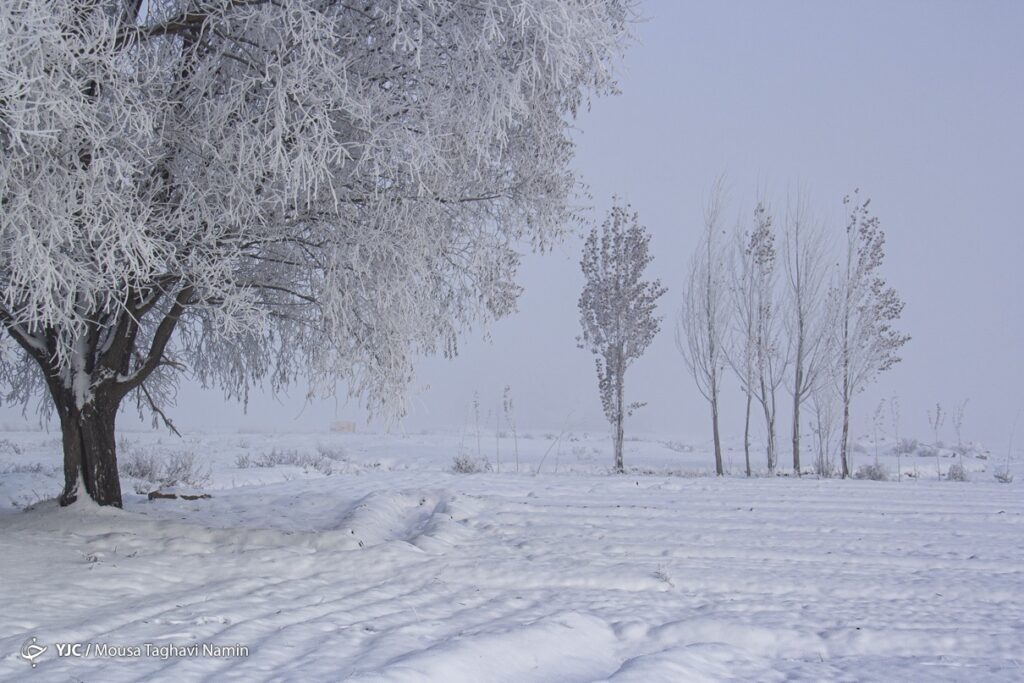 سرما
