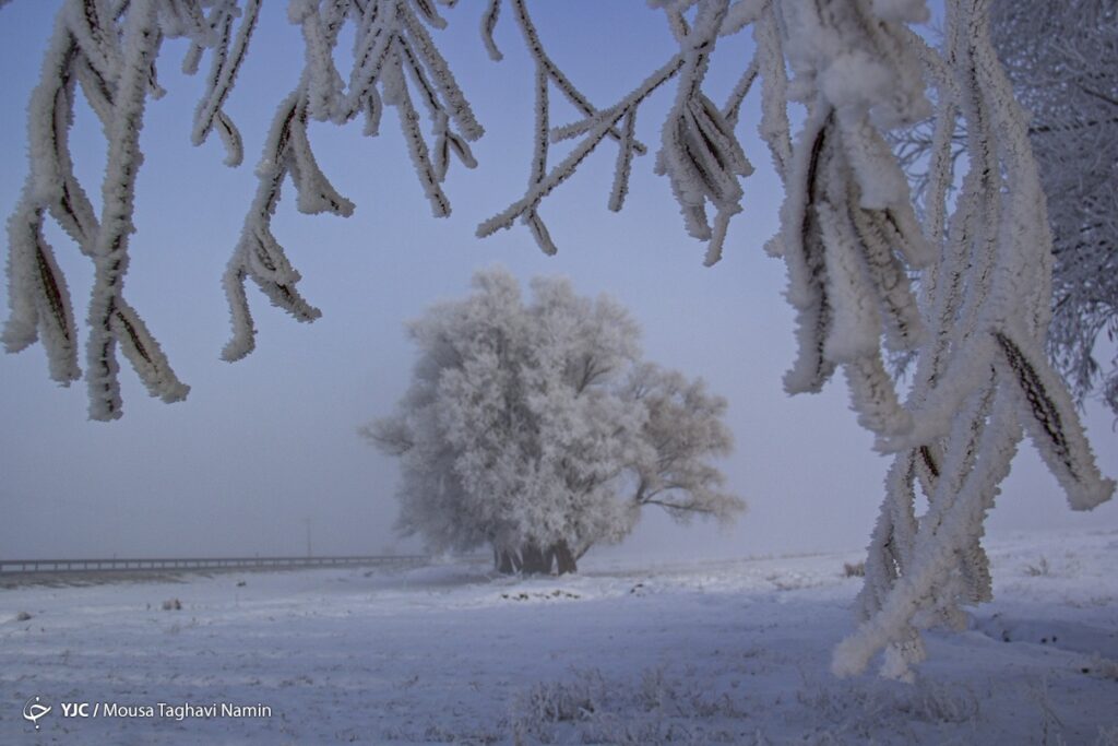سرما