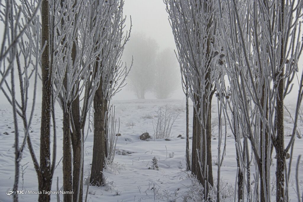 سرما