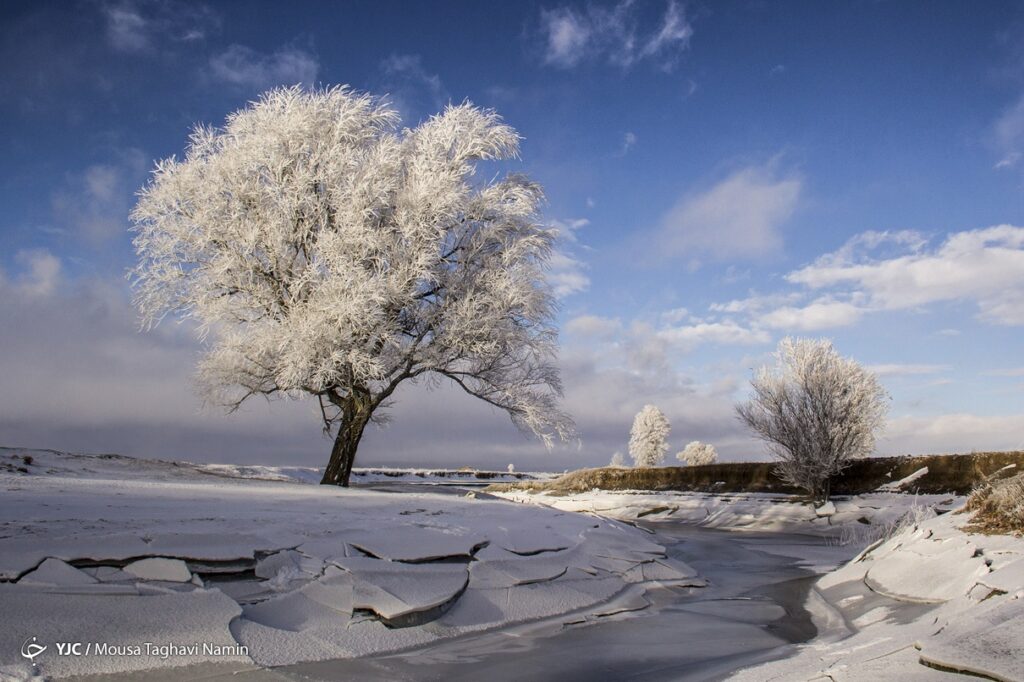 سرما