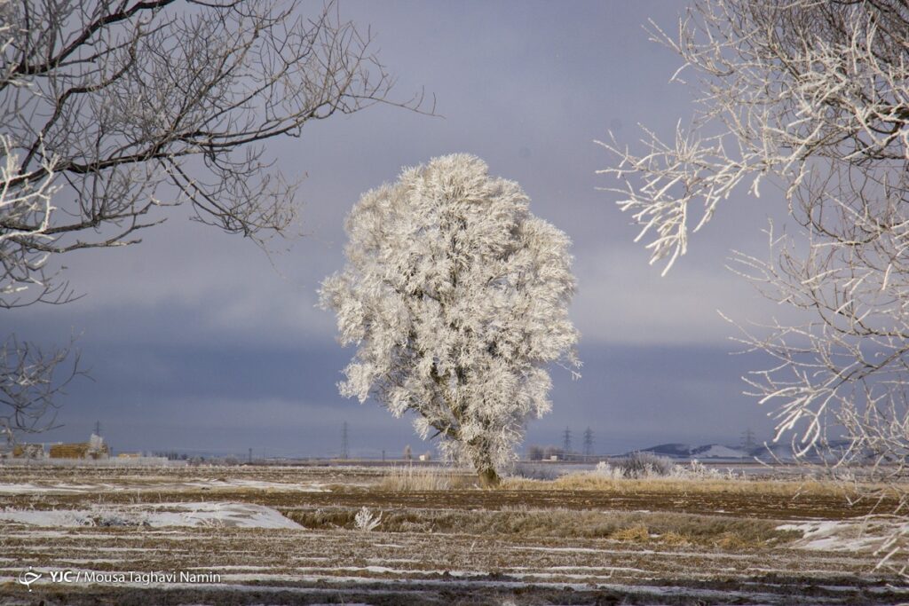 سرما