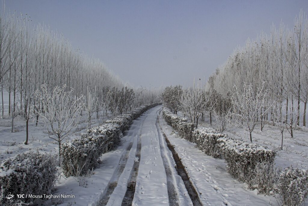 سرما