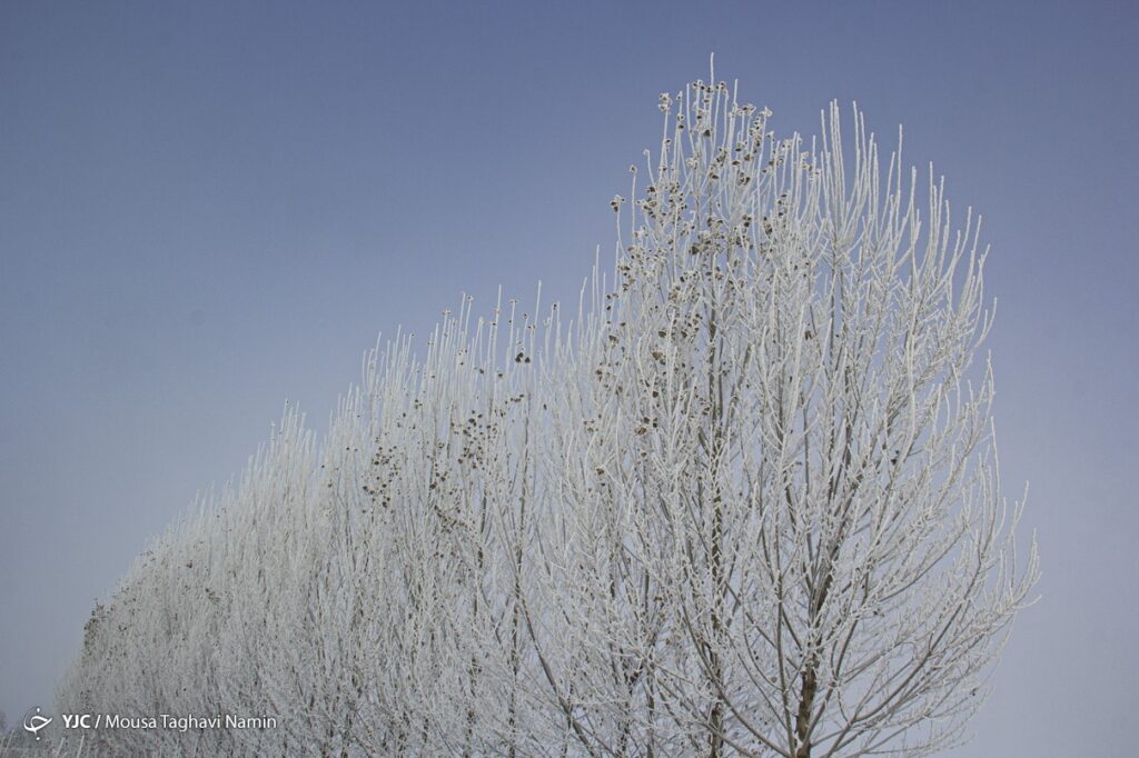 سرما