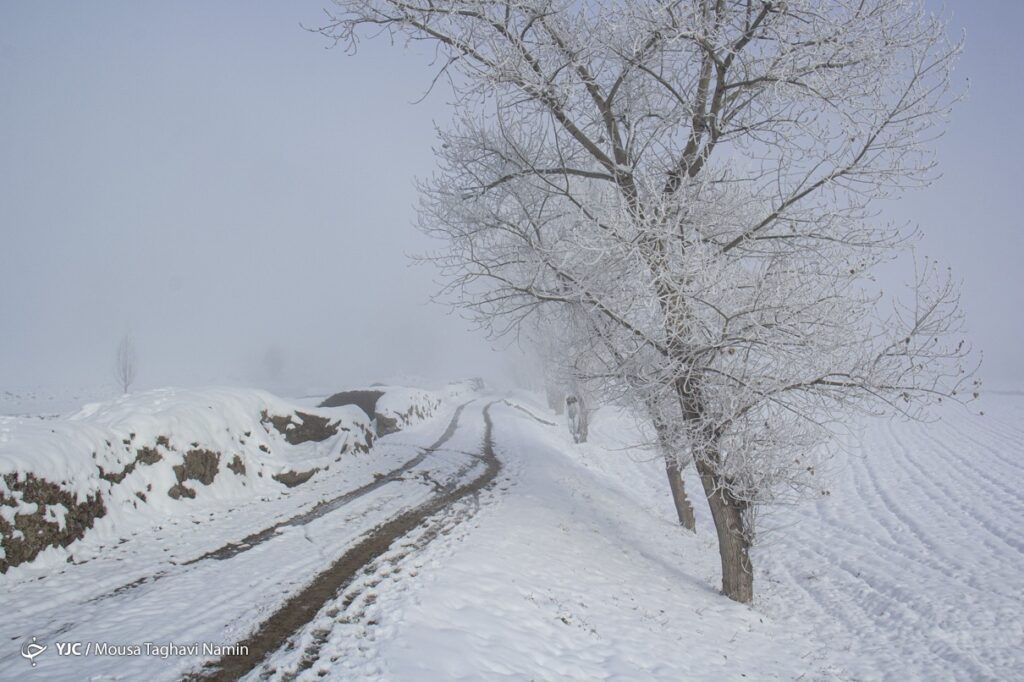 سرما