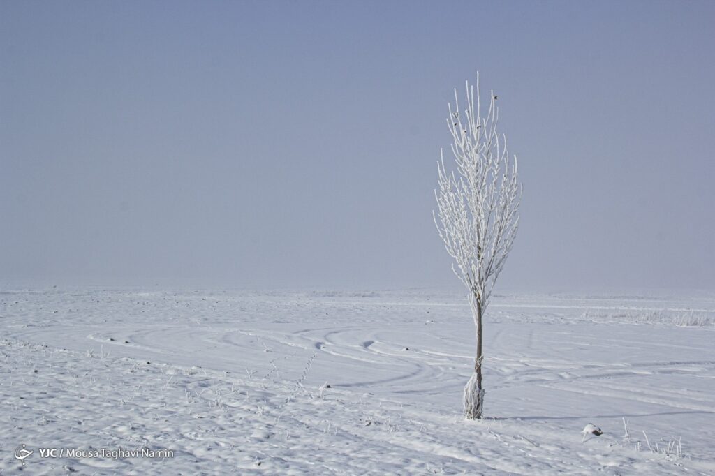 سرما