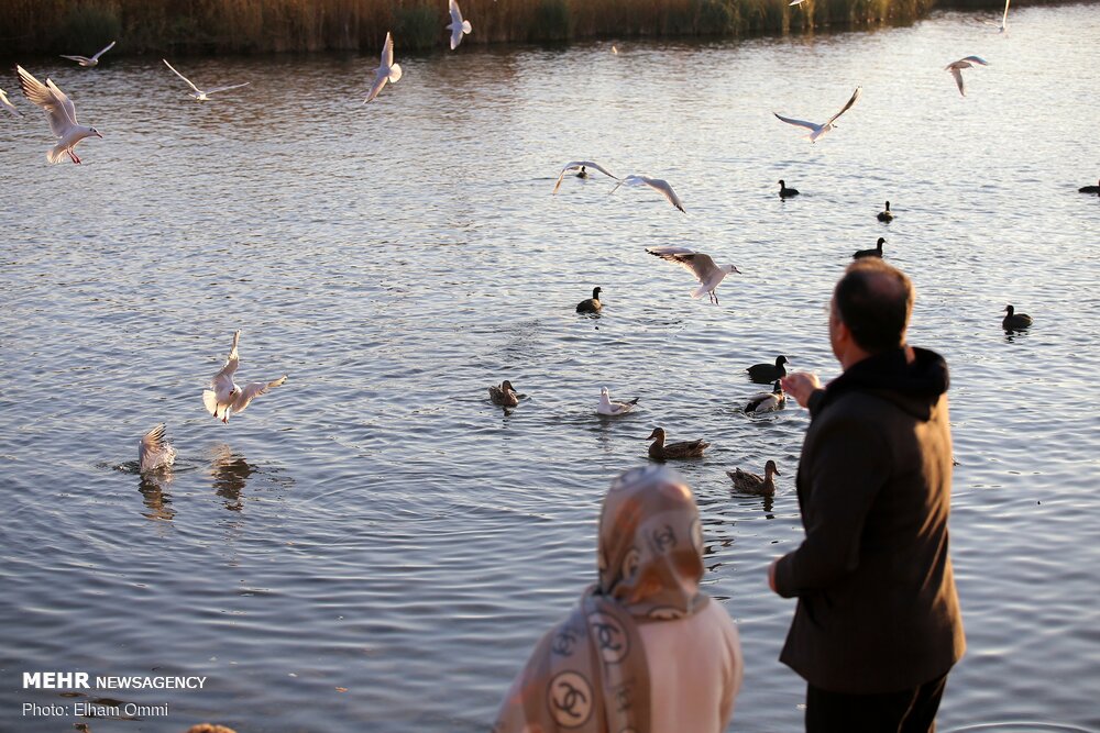 بزرگترین چشمه آب شیرین ایران