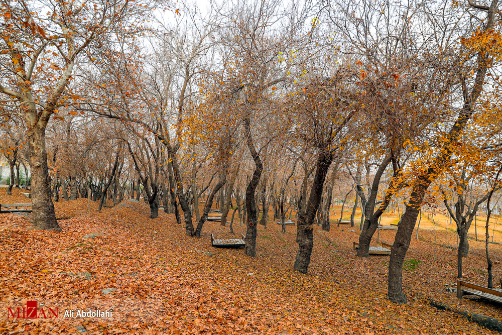 فصل پاییز