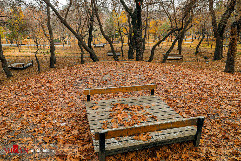 فصل پاییز