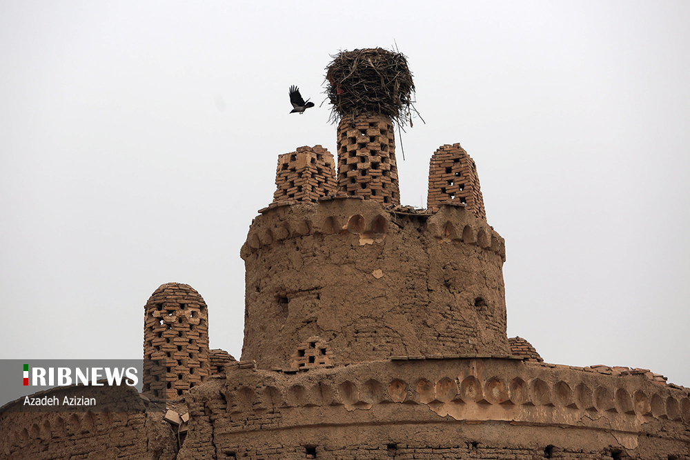 ساختمان