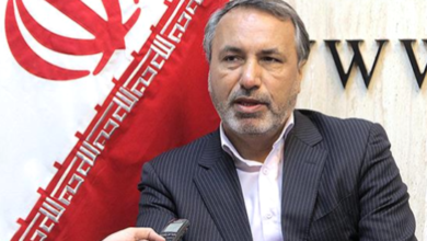 محمدرضا کوچی