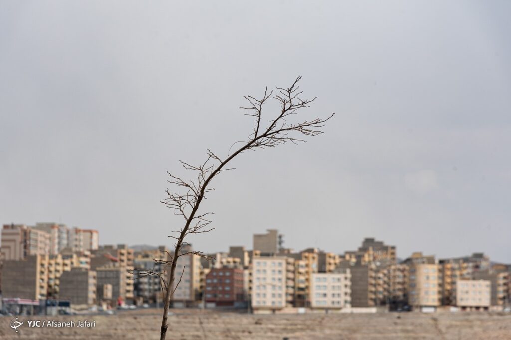 تبریز