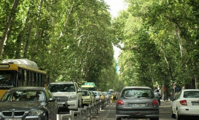 بازسازی خیابان ولیعصر در راستای پروژه ثبت جهانی
