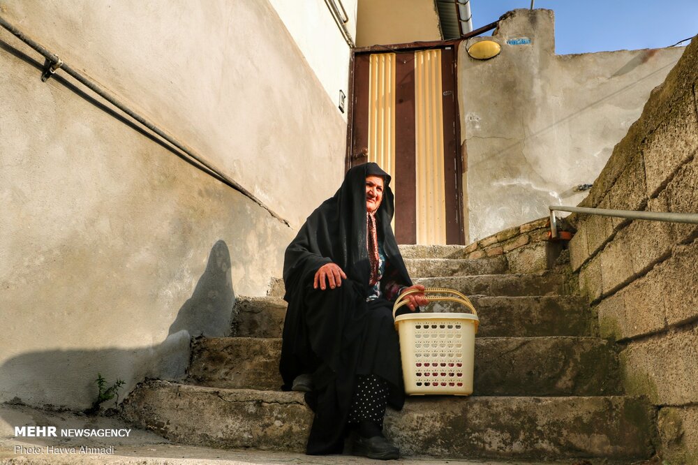 شهر پل سفید 