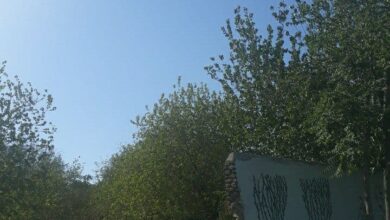 کیسه‌دوزی شهرداری و سودجویان برای تغییر کاربری باغات تهران
