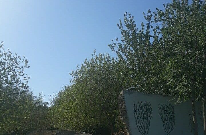 کیسهدوزی شهرداری و سودجویان برای تغییر کاربری باغات تهران