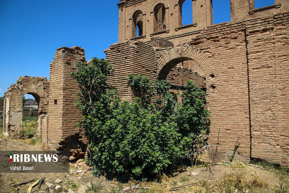 مرمت و احیا