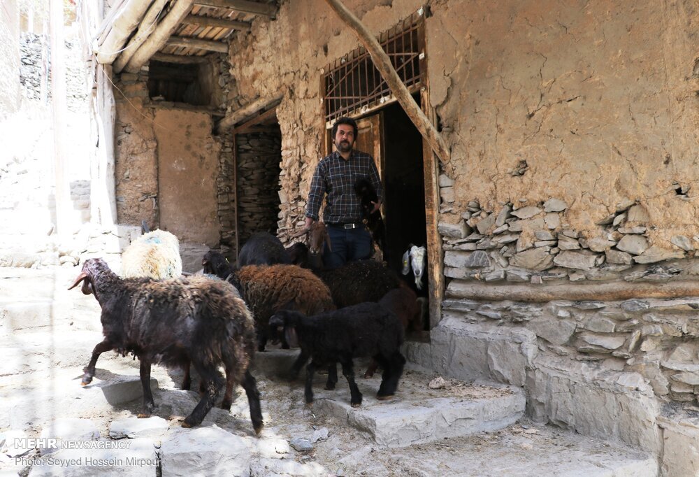 روستا