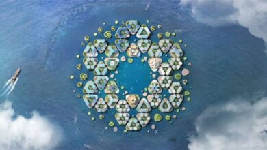 OCEANIX/BIG-BJARKE INGELS GROUP