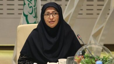 شینا انصاری