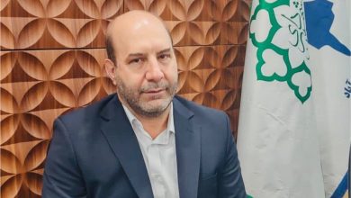 حمیدرضا صارمی