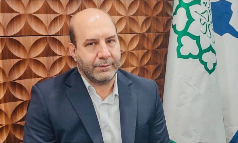حمیدرضا صارمی